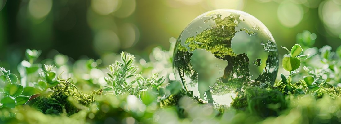 green globe in grass/flowers/weeds